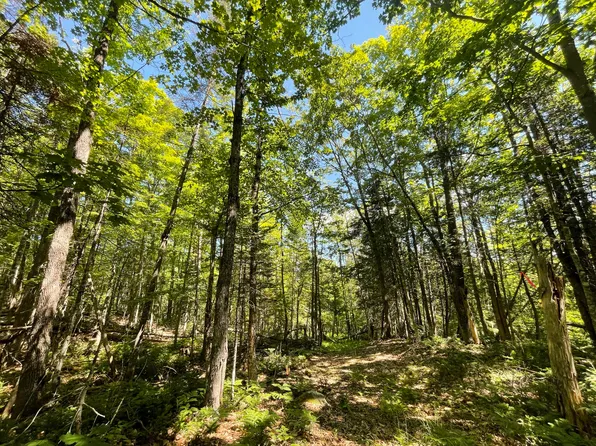 TBD Carrabassett Road, New Portland, ME 04961