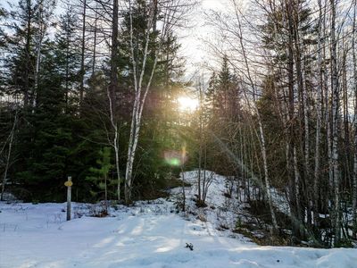 13633 Great Bear Loop, Bigfork, MT, 59911