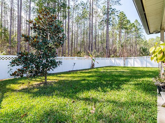 Beautiful backyard
