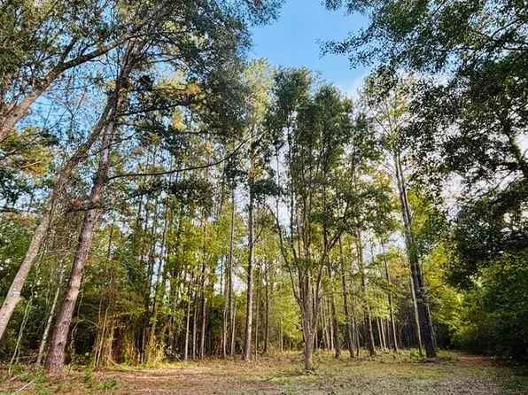 E Moran Rd Lot A-1, Pearl River, LA 70452