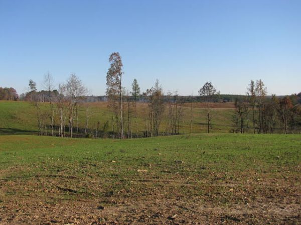 2nd image of Western Lane