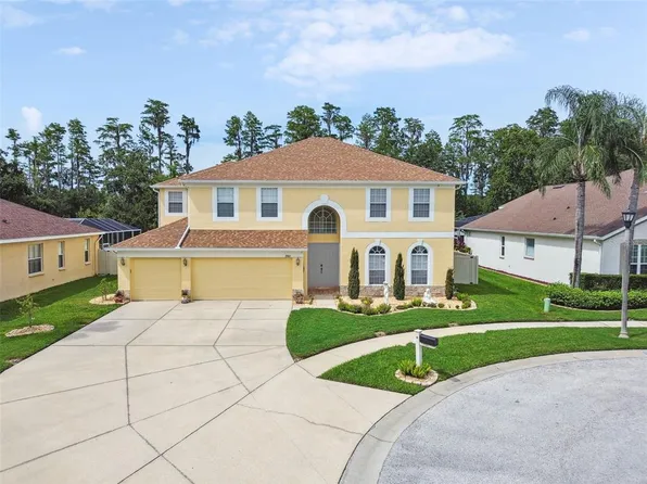 21511 Wilderness Lake Blvd, Land O Lakes, FL 34637