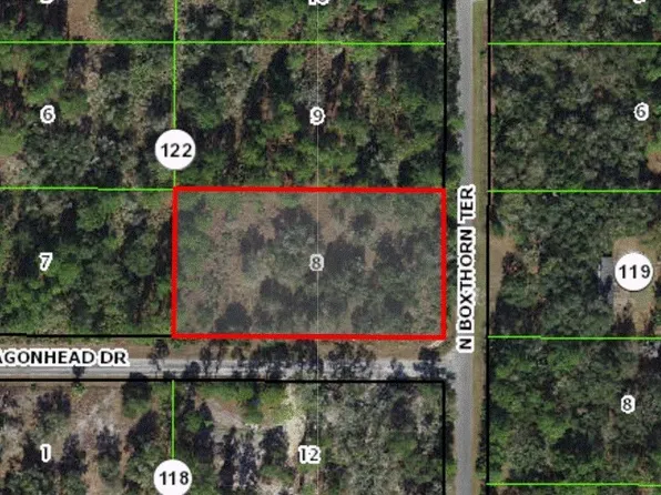 9216 N Boxthorn Ter, Crystal River, FL 34428
