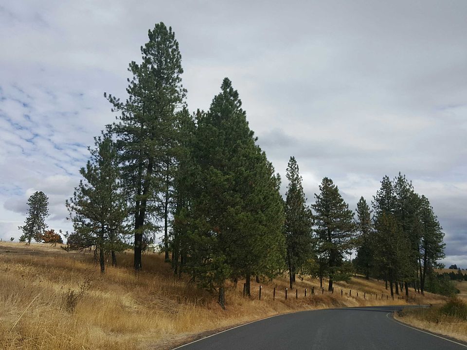 2nd image of 785 Leitch Creek Rd