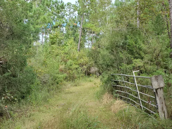 0 Buttercup Ln, Marianna, FL 32446