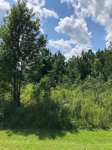 2nd image of 435 E Emerald Lake Dr
