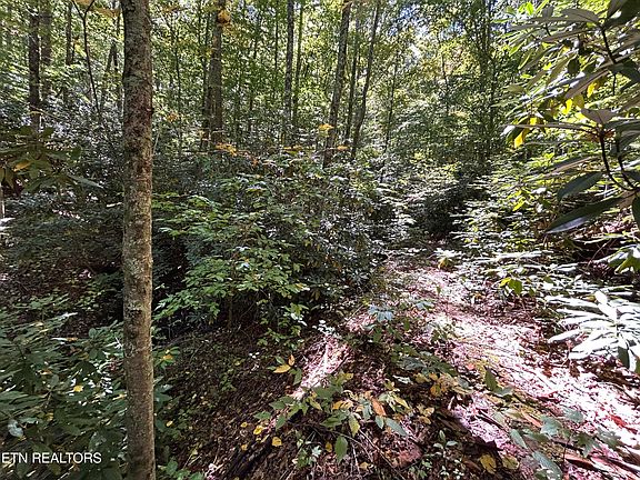 3rd image of 433 Steve Brown Rd