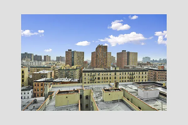 Sold by Stribling | media 15