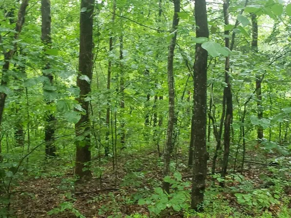 0 Wonderland Range Rd, Cleveland, SC 29635