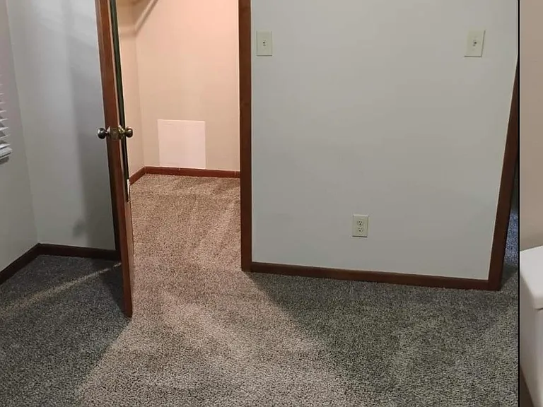Bedroom features large walk-in closet.