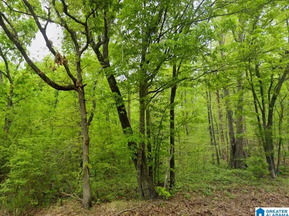 Us Highway 278, Altoona, AL 35952