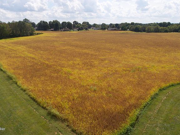 2nd image of 4900 Springfield Rd