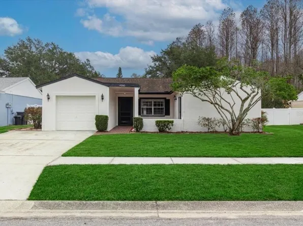 14003 Basin St, Tampa, FL 33625
