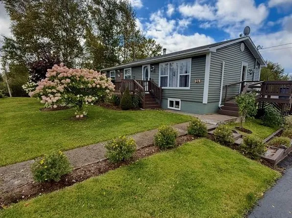 24 Farm Road, Howley, NL A0K3E0