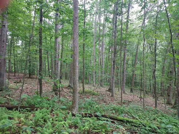 LOT 4 Do Right Ln, Cassville, PA 16623