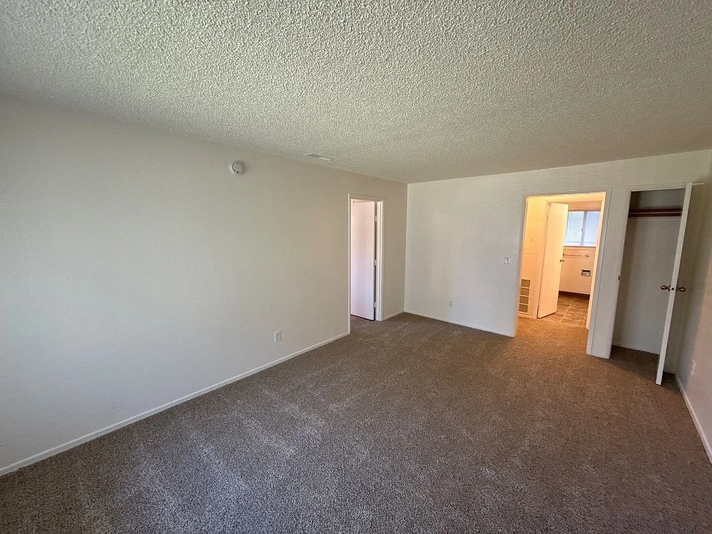 1 bed, 1.0 bath, 590 sqft, $1,045 — Photo 3