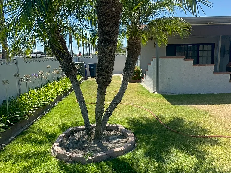 7976 San Marino Dr — Photo 12