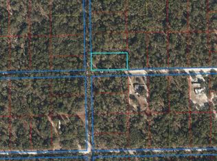 Tbd Ne 77 Pl, Bronson, FL 32621