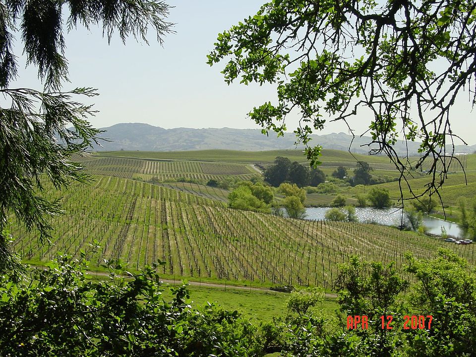 Views of surrounding vineyard