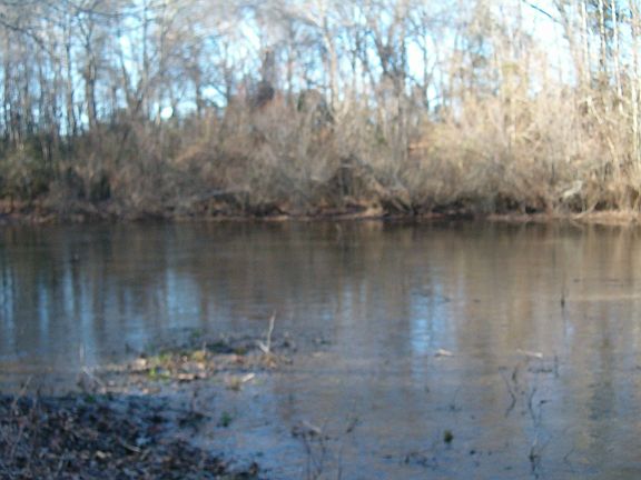 Hidden Spring Fed Pond