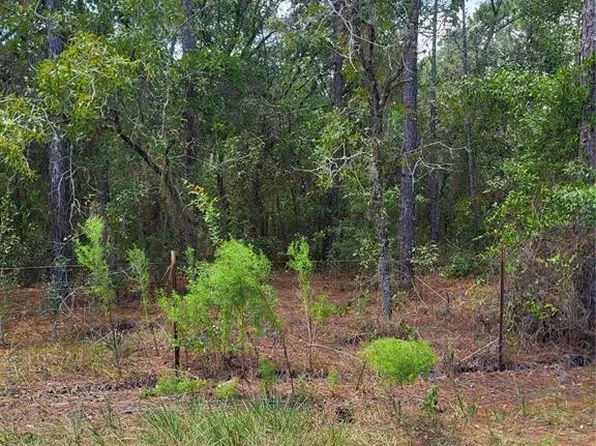SW 178th Ter Lot 12, Dunnellon, FL 34432