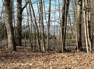 0 Jackson Rd, South Plymouth, NY 13844