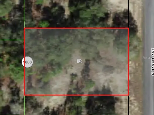 6706 N Tassel Ter #12, Dunnellon, FL 34433