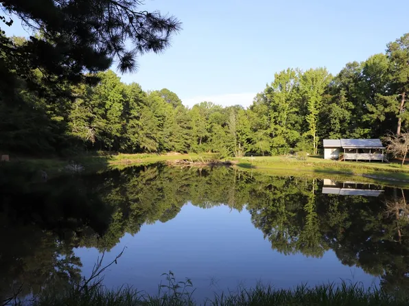 199 Doodle Hill Rd, Neeses, SC 29107
