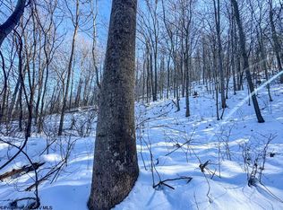 786 Wilson Run Rd, Pine Grove, WV 26419