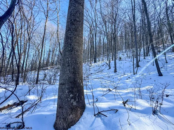 786 Wilson Run Rd, Pine Grove, WV 26419