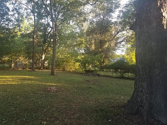 Beautiful Backyard with Pecan Trees