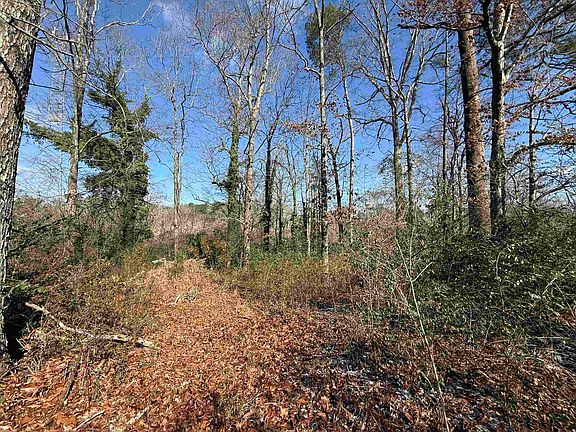 4th image of 0 2nd Way NE