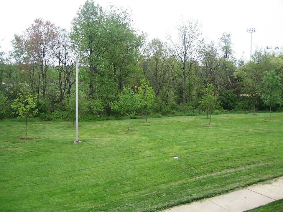 Park right next to house