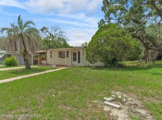 595 Swallow Ln, Spring Hill, FL 34606