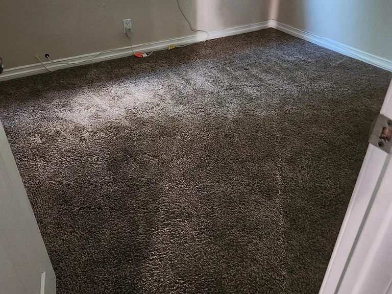 8406 Commonwealth Ave #3 — Photo 3