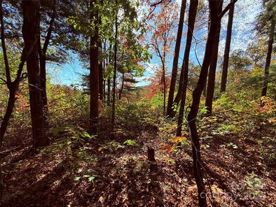 312 Hollybrook Dr #S-1r, Flat Rock, NC, 28731