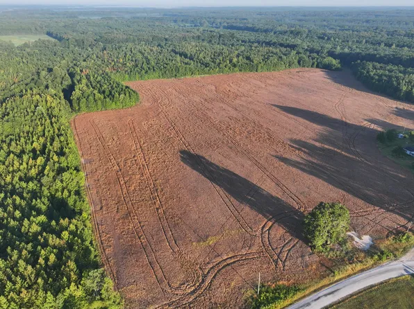 County Road 87, New Albany, MS 38652