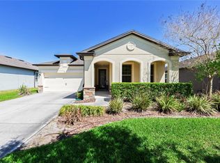 7966 Olive Brook Dr, Wesley Chapel, FL 33545