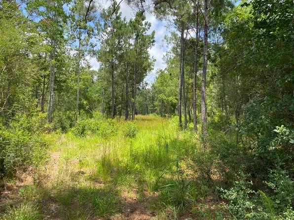 Myers Rd, Wewahitchka, FL 32465
