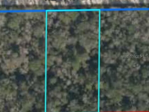 NE 88th Ln, Bronson, FL 32621