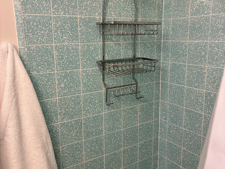 Tub and Shower Combo