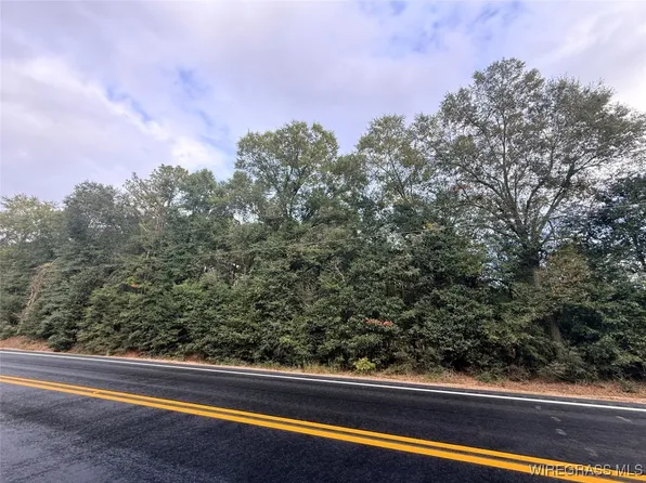 0 Highway 87, Elba, AL 36323