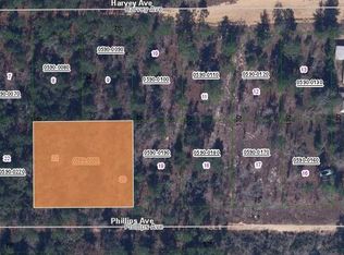 0 Phillips Ave #20, Interlachen, FL 32148