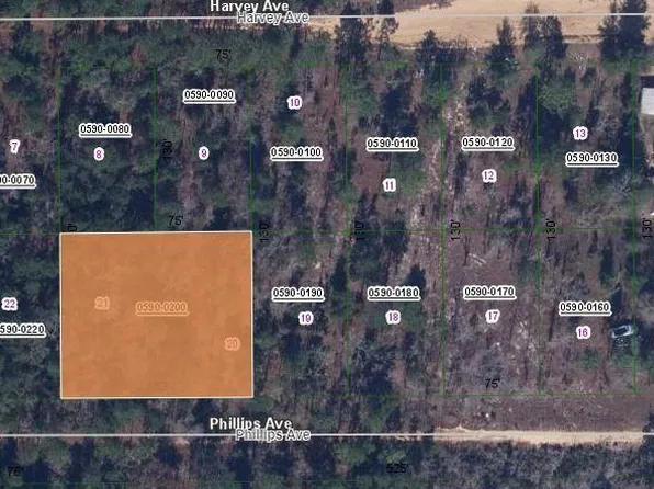 0 Phillips Ave #20, Interlachen, FL 32148