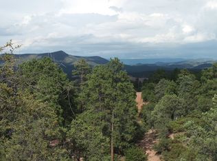 102 S Diamond Pt, Payson, AZ 85541