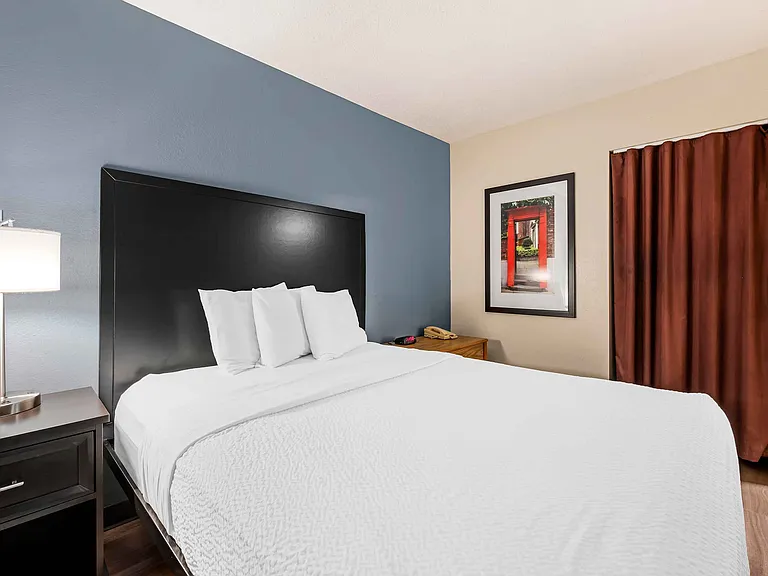 1 Bedroom Suite - 1 Queen Bed