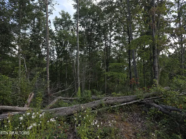 LOT 12 Mill Creek Rd, Sunbright, TN 37872