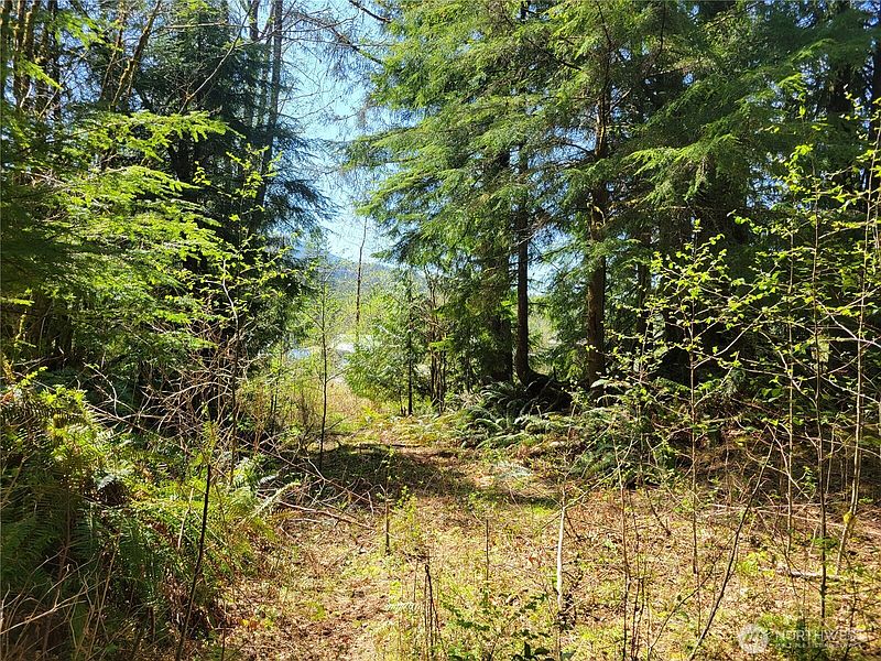 5th image of 0 XXX Mtn Loop Highway