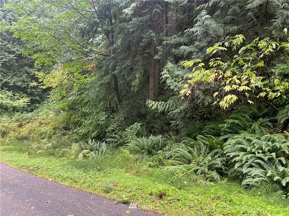 13 Wintercress Way, Bellingham, WA 98229