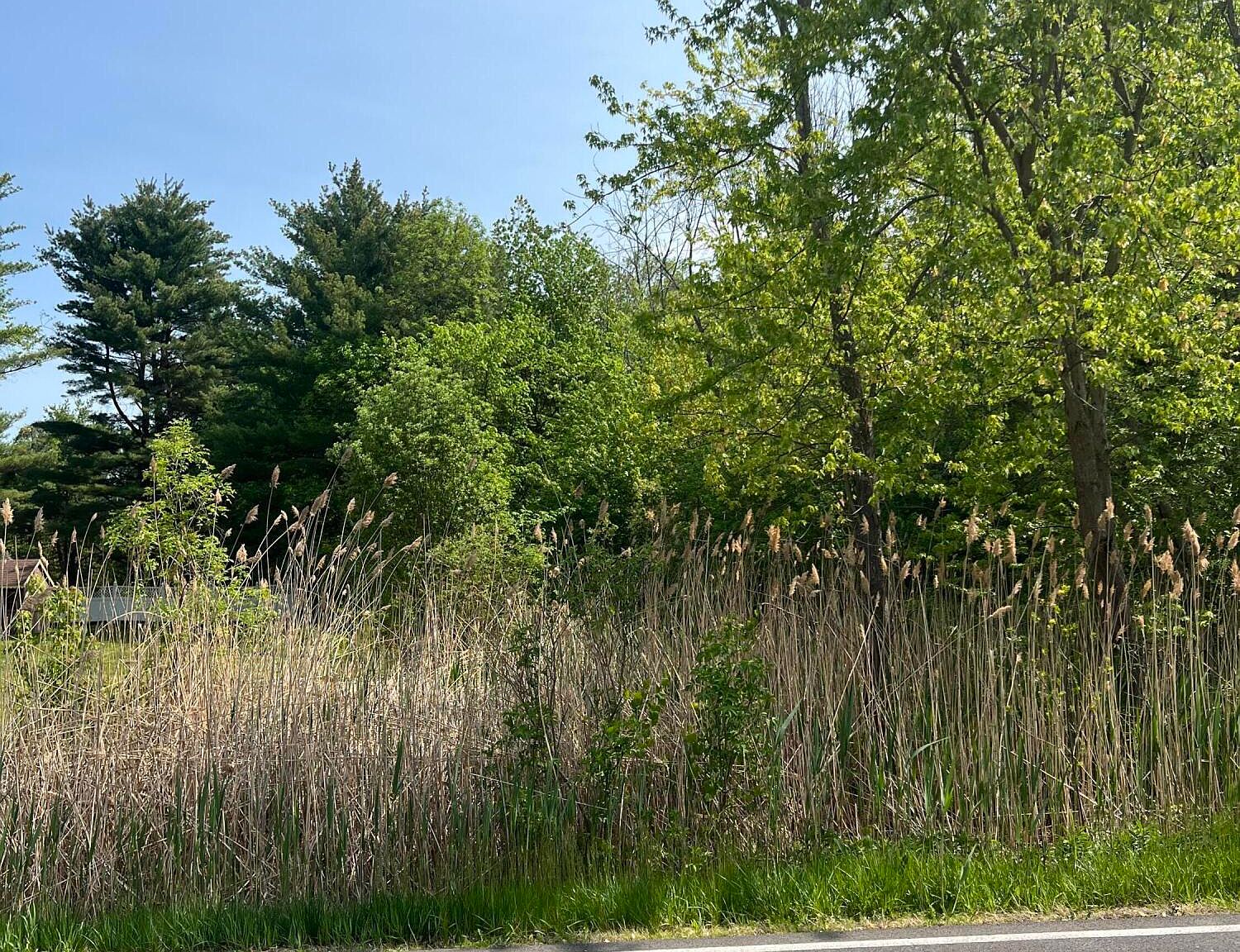 L33 Elm Ave East, Selkirk, NY 12158 MLS 202316773 Zillow